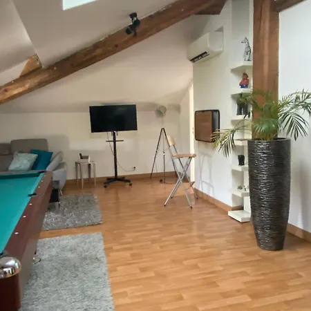 Grand Loft Avec Billard Netflix Et Climatisation Socourt