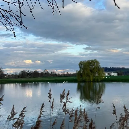 Apartmán Grand Loft Avec Billard Et Netflix Socourt