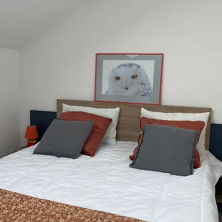 Grand Loft Avec Billard Netflix Et Climatisation * Socourt