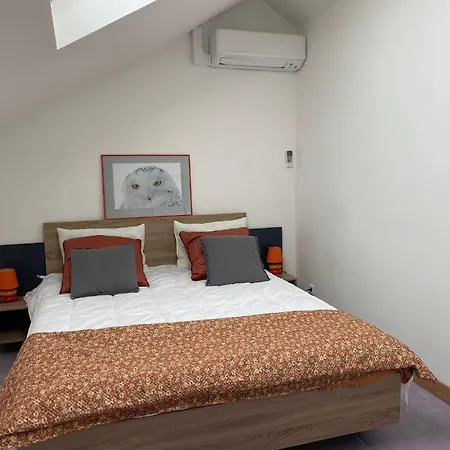 Appartamento Grand Loft Avec Billard Et Netflix