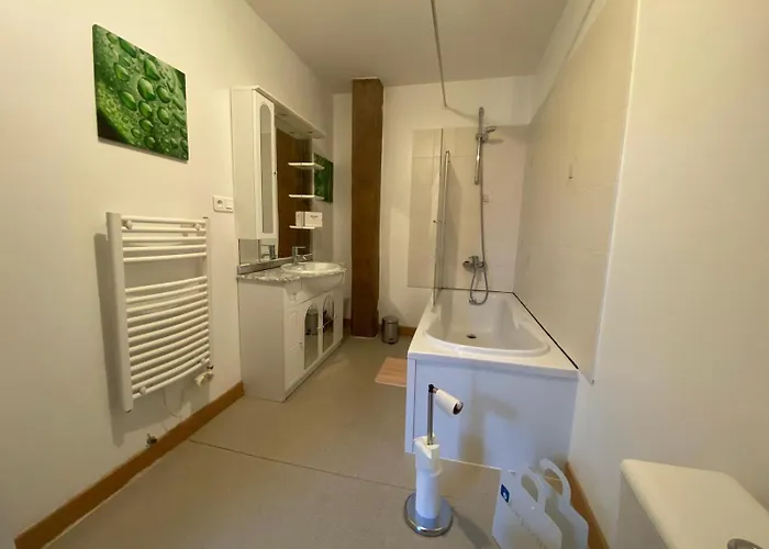 Grand Loft Avec Billard Et Netflix * Socourt