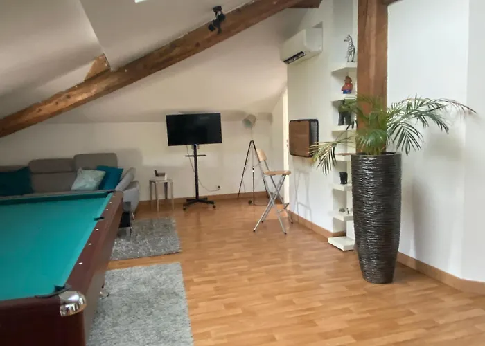 Grand Loft Avec Billard Et Netflix Socourt