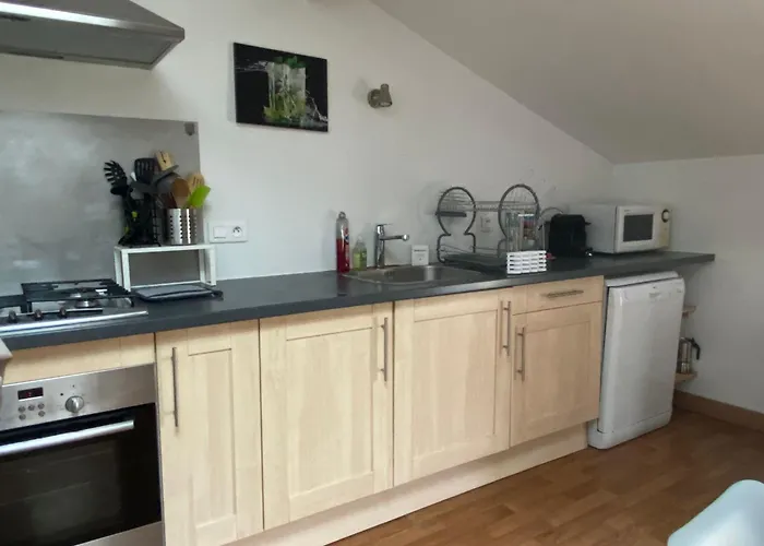 Grand Loft Avec Billard Et Netflix Apartmán Socourt