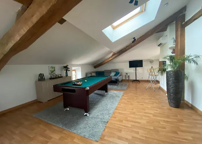 Grand Loft Avec Billard Et Netflix Socourt