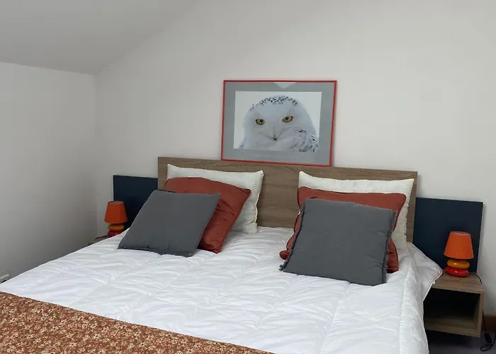 Grand Loft Avec Billard Et Netflix * Socourt