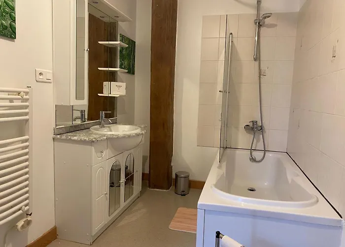 Grand Loft Avec Billard Et Netflix Socourt