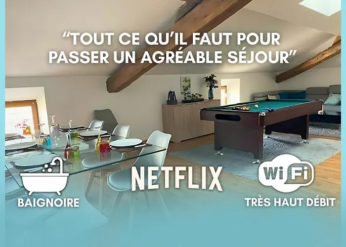 Grand Loft Avec Billard Et Netflix Socourt
